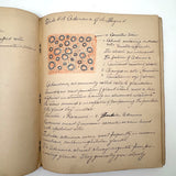 1901 Pathology/Bacteriology Marbled Cover Notebook with Gorgeous Colored Pencil Illustrations Throughout, NYC