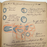 1901 Pathology/Bacteriology Marbled Cover Notebook with Gorgeous Colored Pencil Illustrations Throughout, NYC