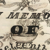 In Memory of My 19th Birthday, 1864, Ink Drawing in Period Frame