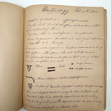 1901 Pathology/Bacteriology Marbled Cover Notebook with Gorgeous Colored Pencil Illustrations Throughout, NYC