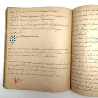 1901 Pathology/Bacteriology Marbled Cover Notebook with Gorgeous Colored Pencil Illustrations Throughout, NYC
