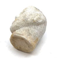 Elusive and Gentle Feeling Carved Marble Head