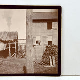 Rural South Carolina, c. 1890-1900, Pair of Early Kodak Snapshots