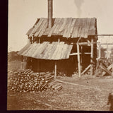 Rural South Carolina, c. 1890-1900, Pair of Early Kodak Snapshots