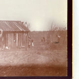 Rural South Carolina, c. 1890-1900, Pair of Early Kodak Snapshots