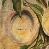 Peaches and Grapes, Antique Folk Art Oil on Board Painting