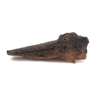 Old Folk Art Carved Found Wood Alligator Head