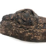 Old Folk Art Carved Found Wood Alligator Head