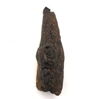 Old Folk Art Carved Found Wood Alligator Head