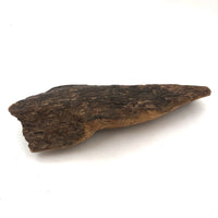 Old Folk Art Carved Found Wood Alligator Head