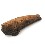 Old Folk Art Carved Found Wood Alligator Head