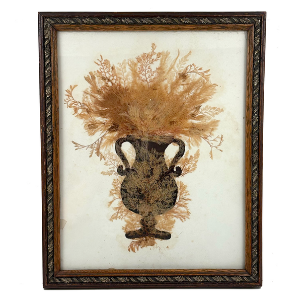 Lush Victorian Sea Moss Composition with Cut Paper Urn, Mid 19th Century, Period Oak Frame