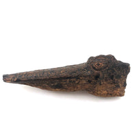 Old Folk Art Carved Found Wood Alligator Head