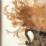 Lush Victorian Sea Moss Composition with Cut Paper Urn, Mid 19th Century, Period Oak Frame