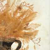 Lush Victorian Sea Moss Composition with Cut Paper Urn, Mid 19th Century, Period Oak Frame