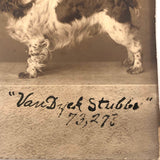 Pair of Antique Cabinet Cards of "Van Dyck" Show Spaniels
