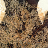 Lush Victorian Sea Moss Composition with Cut Paper Urn, Mid 19th Century, Period Oak Frame