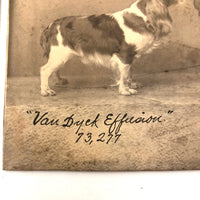 Pair of Antique Cabinet Cards of "Van Dyck" Show Spaniels