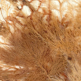 Lush Victorian Sea Moss Composition with Cut Paper Urn, Mid 19th Century, Period Oak Frame