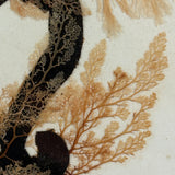 Lush Victorian Sea Moss Composition with Cut Paper Urn, Mid 19th Century, Period Oak Frame