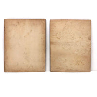 Pair of Antique Cabinet Cards of "Van Dyck" Show Spaniels