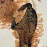 Victorian Sea Moss Composition with Cut Paper Horn, Mid 19th Century, Period Oak Frame