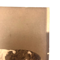 Pair of Antique Cabinet Cards of "Van Dyck" Show Spaniels