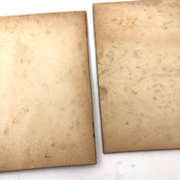 Pair of Antique Cabinet Cards of "Van Dyck" Show Spaniels