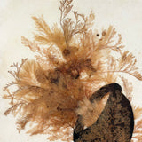 Victorian Sea Moss Composition with Cut Paper Horn, Mid 19th Century, Period Oak Frame