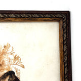 Victorian Sea Moss Composition with Cut Paper Horn, Mid 19th Century, Period Oak Frame