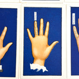 Fabulous 1930s Carreras Palmistry Cigarette Cards, Complete Set of 50, Near Mint