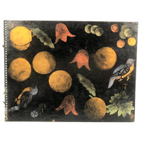 Lot of Stencil Painted Toleware/Theorem Test Designs