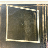 Spider in Web Spun Across Frame, Curious and Beautiful Old Hungarian(?) Photo