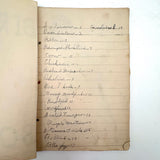 Bird Book! Delightful c. 1930s Handmade Book with 18 Naive Crayon Bird Drawings