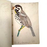 Bird Book! Delightful c. 1930s Handmade Book with 18 Naive Crayon Bird Drawings
