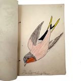 Bird Book! Delightful c. 1930s Handmade Book with 18 Naive Crayon Bird Drawings