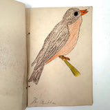 Bird Book! Delightful c. 1930s Handmade Book with 18 Naive Crayon Bird Drawings
