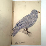 Bird Book! Delightful c. 1930s Handmade Book with 18 Naive Crayon Bird Drawings