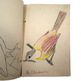 Bird Book! Delightful c. 1930s Handmade Book with 18 Naive Crayon Bird Drawings