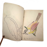 Bird Book! Delightful c. 1930s Handmade Book with 18 Naive Crayon Bird Drawings