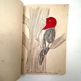 Bird Book! Delightful c. 1930s Handmade Book with 18 Naive Crayon Bird Drawings