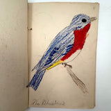Bird Book! Delightful c. 1930s Handmade Book with 18 Naive Crayon Bird Drawings