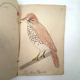 Bird Book! Delightful c. 1930s Handmade Book with 18 Naive Crayon Bird Drawings