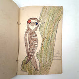 Bird Book! Delightful c. 1930s Handmade Book with 18 Naive Crayon Bird Drawings