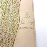 Bird Book! Delightful c. 1930s Handmade Book with 18 Naive Crayon Bird Drawings