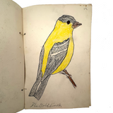 Bird Book! Delightful c. 1930s Handmade Book with 18 Naive Crayon Bird Drawings