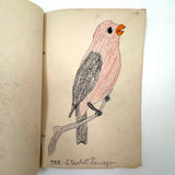 Bird Book! Delightful c. 1930s Handmade Book with 18 Naive Crayon Bird Drawings