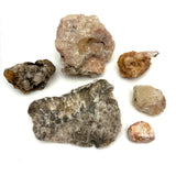 Wonderful Vintage Rock Collection with Corals, Large Tooth, Handwritten Notes and More in Old Cookie Tin