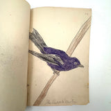 Bird Book! Delightful c. 1930s Handmade Book with 18 Naive Crayon Bird Drawings