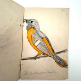 Bird Book! Delightful c. 1930s Handmade Book with 18 Naive Crayon Bird Drawings